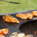 Barbecook Nestor grill cooking chicken