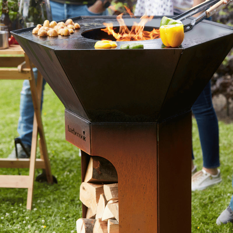 Barbecook Nestor grill cooking flame