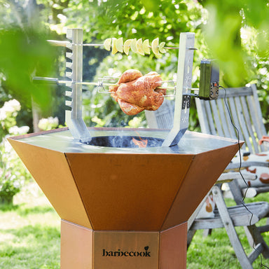 Barbecook Nestor with rotisserie cooking chicken