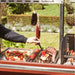 Barbecook Pedro Asado grill basting