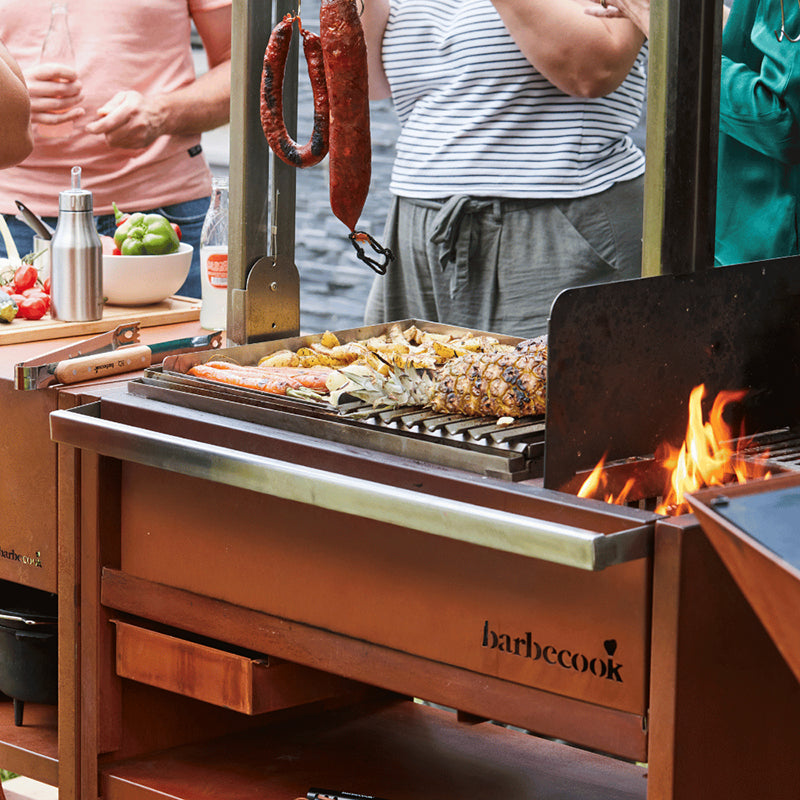 Barbecook Pedro Asado grilling view