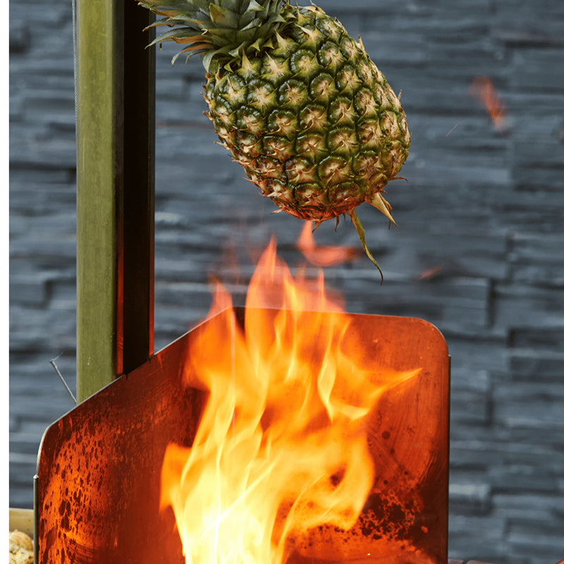 Barbecook Pedro Asado grill pineapple